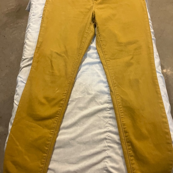 D. Jeans - Picture 4 of 5